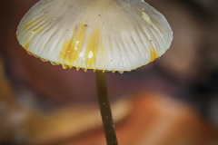 Foto: Dieter Schmidt