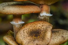 Foto: Dieter Schmidt