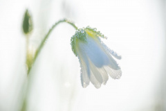 Foto: Anne Marquard