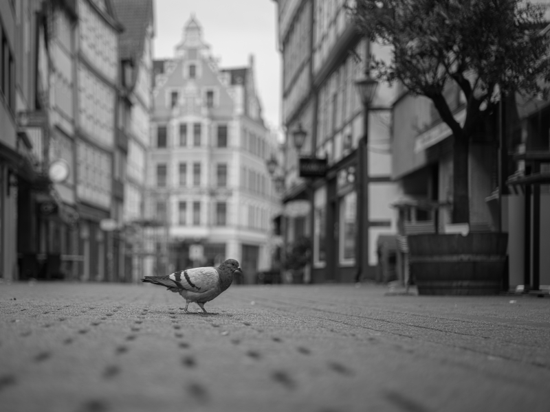 Ulf Kleiner - Stille der Stadt