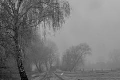 23 Foto: Kristin Peter