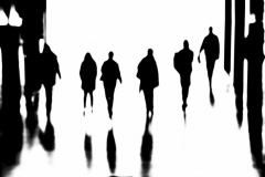 25 Im Gegenlicht Foto: Martin Lorenz