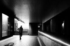 18 Ins Licht Foto: Manfred Paul