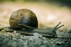 57 Foto: Detlef Ziesemer-Mühle