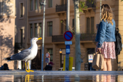 20 Guckst du Foto: Ralph Wecks