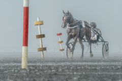 Foto: Anja Mickel