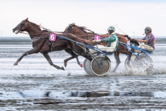 Foto: Detlef Behrendt