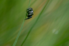 Foto: Alexander Fischer