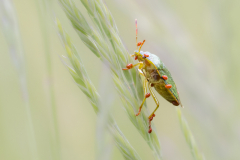 Foto: Andreas Kaiser