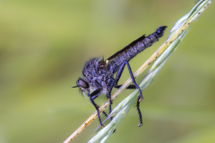 Foto: Andreas Kaiser