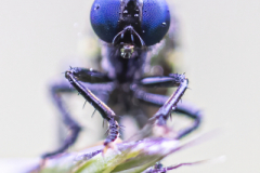 Foto: Andreas Kaiser