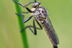 Foto: Friedhelm Poschadel