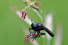 Foto: Friedhelm Poschadel