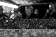 Foto: Evelin Schaper