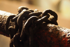 Foto: Maren Poschadel