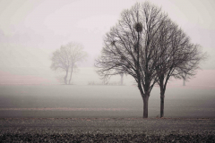 Fotograf: Olaf Munderloh