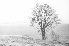 Fotografin: Sandra Schäfer