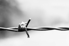 Fotograf: Ulf Kleiner