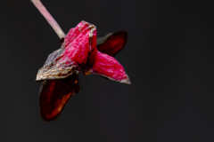 Fotograf: Andreas Kaiser