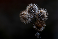 Fotograf: Andreas Kaiser