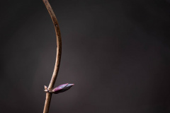 Fotografin: Anja Mickel