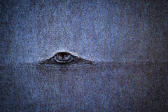 Fotografin: Anja Mickel