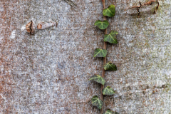 Fotografin: Anne Marquard