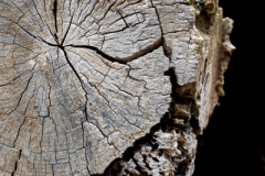 Fotografin: Anne Marquard