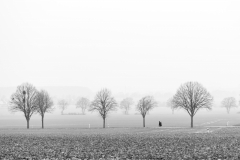 Fotografin: Anne Lehmann