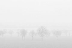 Fotografin: Chris Herling