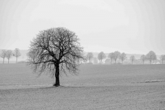 Fotograf: Olaf Munderloh