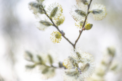 Foto: Anne Marquard