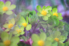 Foto: Christian Besendahl