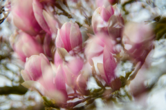 Foto: Christian Besendahl