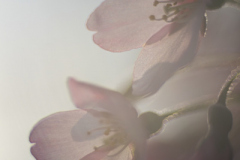 Foto: Sandra Schäfer