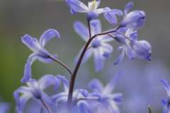 Foto: Sandra Schäfer