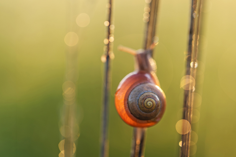 Kleine Welt im Licht
