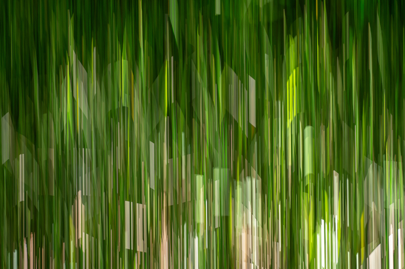 Licht im Rhythmus