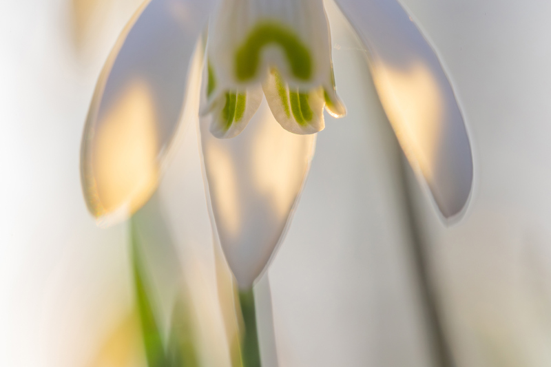 Schwebendes Licht