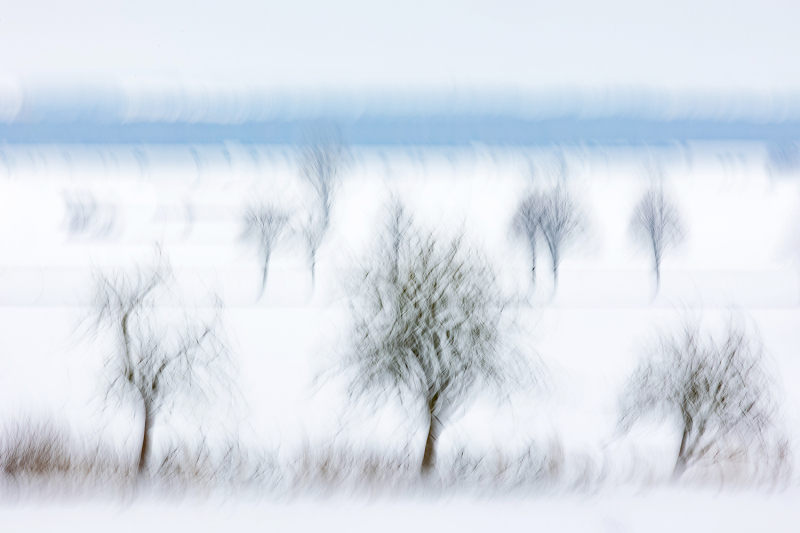 Wintertraum