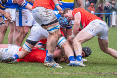 Foto: Detlef Behrendt