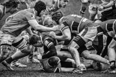 Foto: Dieter Schmidt