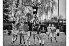 Foto: Dieter Schmidt