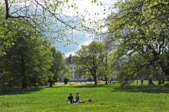 Frühling - Nordstadt Foto: Uta Mühle