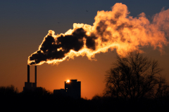 Sonnenstern am Herrenhäuser Meer Fotograf: Alexander Fischer
