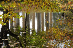 Herbst am Leibniztempel Fotografin: Uta Mühle