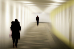 Passerellenpassanten Fotograf: Martin Lorenz