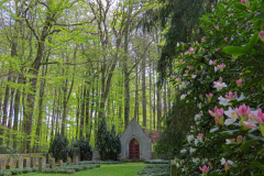 Privatfriedhof Knigge Fotografin: Hella Hornborstel