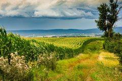 Naturgewalten (Barsinghausen)  Fotograf: Ralph Wecks