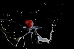 Foto: Evelin Schaper